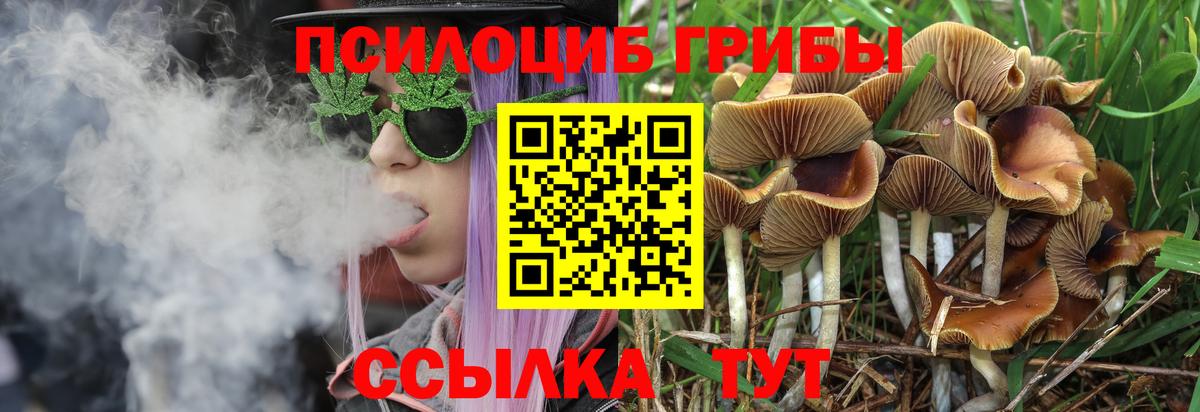 Карачаевск  Галлюциногенные грибы ЛСД  Вход с VPN 